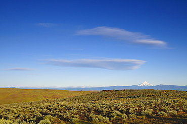 USA, Oregon, Desert landscape