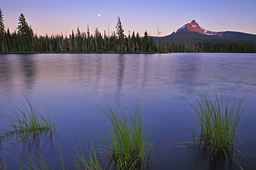 USA, Oregon, Big Lake and Mt. Washington