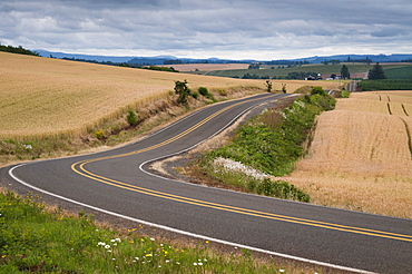 USA, Oregon, Marion County, Rural road