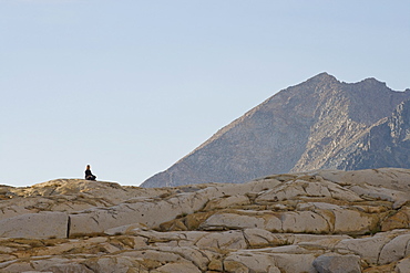 USA, California, Sequoia National Park, Mid adult woman meditating