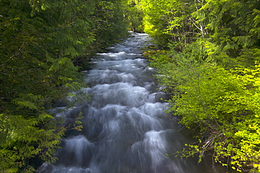 USA, Oregon, Linn County, View of Marion Creek