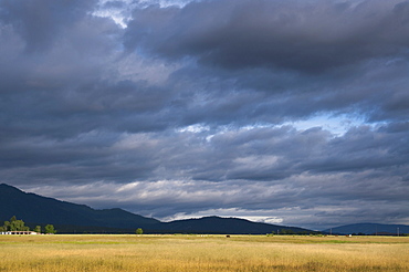 USA, California, Lassen County, Dramatic sky over pasture