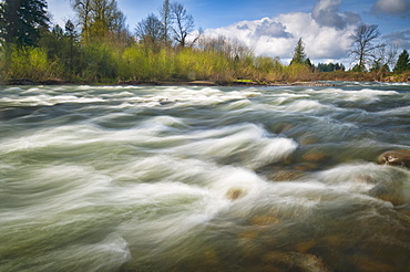 USA, Oregon, Linn County, Crabtree Creek