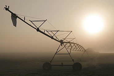 USA, Oregon, Marion County, Irrigation and fog