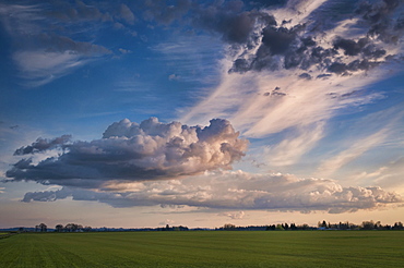 USA, Oregon, Marion County, Cloudy sky over field
