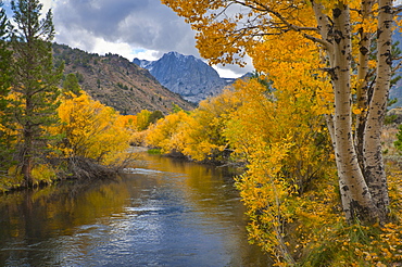 USA, California, River through Eastern Sierra Nevada Mountains