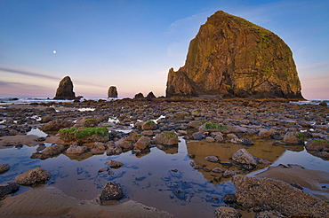 USA, Oregon, Clatsop County, Haystack Rock