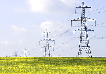 UK, Cambs, Burwell, Electricity pylons