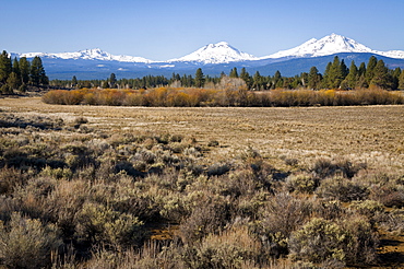 USA, Oregon, Field with snow covered Cascade mountains in background