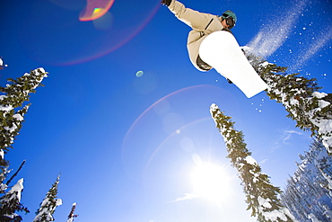 USA, Montana, Whitefish, Young man snowboarding in forest