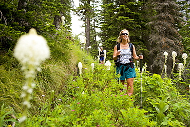 USA, Montana, Glacier National Park, Two mid adult women hiking