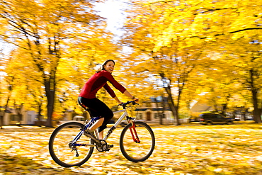 USA, Montana, Kalispell, Young woman cycling in park