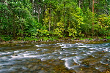 USA, California, Yosemite National Park, Merced River