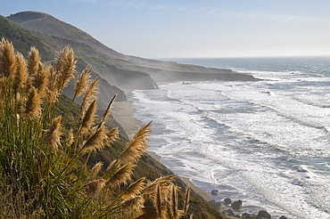 USA, California, Mendocino Coast