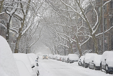 Street in snow