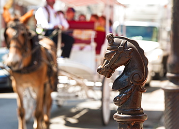 Horse drawn carriage in French Quarter of New Orleans