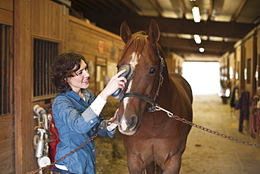 Woman grooming horse