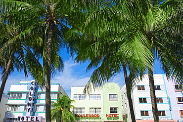 Palm trees and art deco buildings