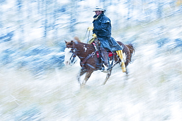 Horseback rider