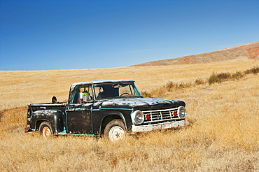 Truck in field