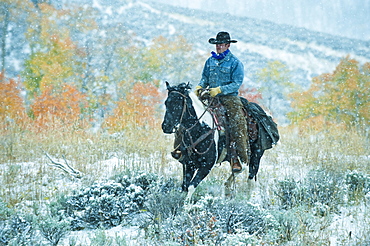 Horseback rider