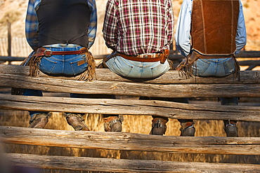 Cowboys sitting on fence