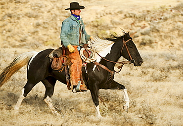 Horseback rider