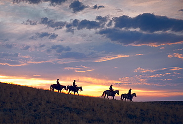 Horseback riders at sunset