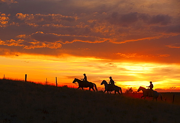 Horseback riders at sunset