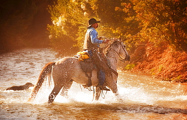 Horseback rider