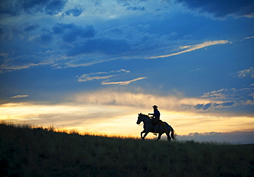 Horseback rider