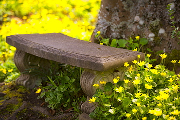 Stone bench, Marion county, Oregon