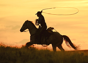 Horseback rider