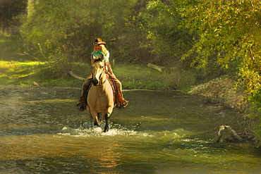 Horseback rider