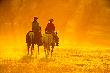 Horseback riders