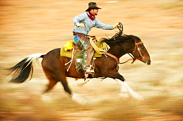 Horseback rider