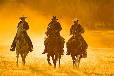 Horseback riders