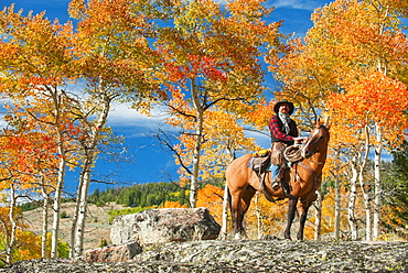 Horseback rider