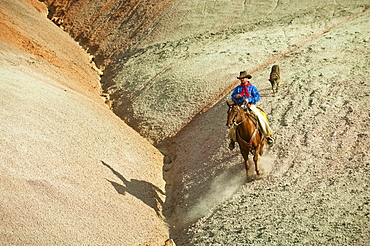 Horseback rider