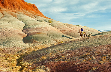 Horseback rider