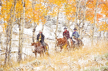 Horseback riders