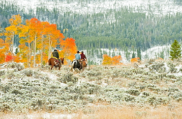 Horseback riders