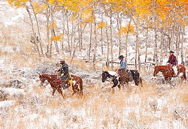 Horseback riders