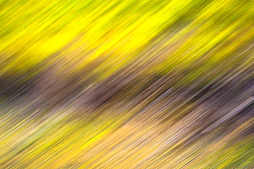 Golden abstract