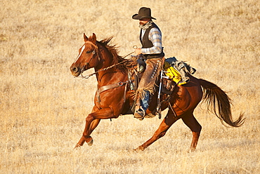 Horseback rider