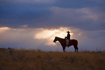 Horseback rider