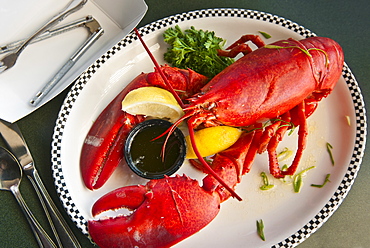 Lobster dinner