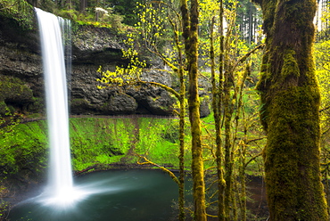 Silver falls, Marion county, Oregon