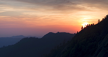 Mountain landscape with trees