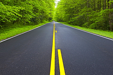 A scenic and empty road